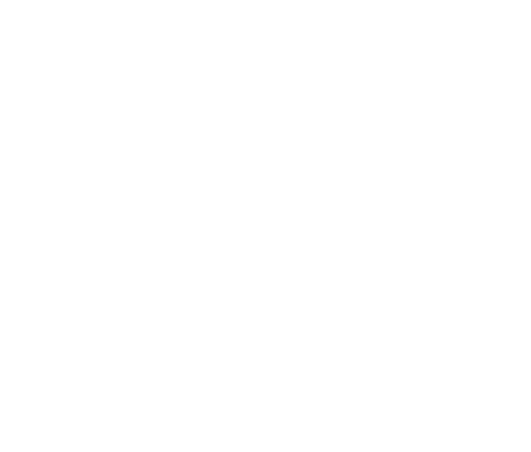 Zero Carb